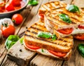 Tomato and Mozzarella Panini