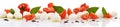 Tomato Mozzarella Panorama with Basil isolated on white Background