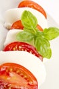 Tomato mozzarella salad Royalty Free Stock Photo