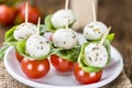 Tomato Mozzarella Salad with Basil Royalty Free Stock Photo