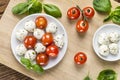 Tomato Mozzarella Salad with Basil Royalty Free Stock Photo