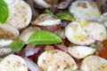 Tomato mozzarella salad with washed tomatoes in rings cut onions and mozzarella Royalty Free Stock Photo