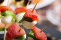 Tomato mozzarella skewer and other freh finger food. Royalty Free Stock Photo