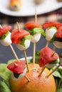 Tomato mozzarella skewer and other freh finger food. Royalty Free Stock Photo