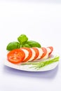 Tomato mozzarella Royalty Free Stock Photo