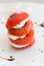 Tomato mozzarella Royalty Free Stock Photo