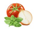 Tomato, onion and green basil isolated on white background Royalty Free Stock Photo