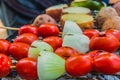 Tomato, onion and green chili pepper are cooked on the grill Royalty Free Stock Photo