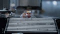 Tomato packs machine conveyor moving boxes automatically in manufacture closeup