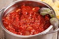 Tomato pasta sauce Royalty Free Stock Photo