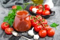 Tomato paste and fresh tomatoes, tomatos puree Royalty Free Stock Photo