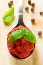 Tomato paste on spoon Royalty Free Stock Photo