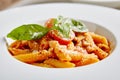 Tomato Penne Pasta Al Dente with Tomato Sauce Royalty Free Stock Photo