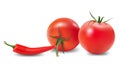 Tomato, pepper and chili.