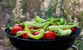 Tomato and Peppers Fish Grilling On BBQ Royalty Free Stock Photo