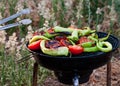 Tomato and Peppers Fish Grilling On BBQ Royalty Free Stock Photo