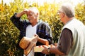 Tomato picking up Royalty Free Stock Photo