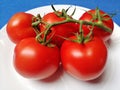 Tomato Royalty Free Stock Photo