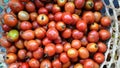 Tomato pile red tomatoes vegetable farm fresh inside rattan basket Royalty Free Stock Photo