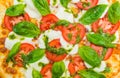 Tomato Pizza Italiana Royalty Free Stock Photo