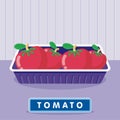 Tomato on the plastic food packaging tray wrapped with polyethylene. Vector illustration Royalty Free Stock Photo