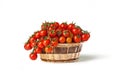 Tomato pomodorini di pachino still isolated