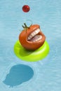 Tomato on pool Royalty Free Stock Photo