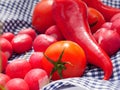 Tomato, radish and pepper picnic food Royalty Free Stock Photo