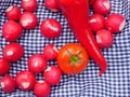 Tomato, radish and pepper picnic food Royalty Free Stock Photo