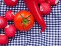 Tomato, radish and pepper picnic food for ecotourism Royalty Free Stock Photo