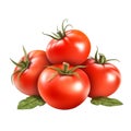 Tomato. Realistic close-up illustration of fresh vegetable, isolated on white background. Generative AI