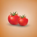 Tomato realistic 3d