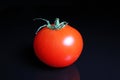 Tomato. Red mini whole tomato on black reflective studio background. Isolated black shiny mirror mirrored background for every con Royalty Free Stock Photo