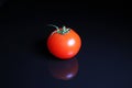 Tomato. Red mini whole tomato on black reflective studio background. Isolated black shiny mirror mirrored background for every con Royalty Free Stock Photo