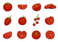 Tomato, red vegetable set in different slices Royalty Free Stock Photo