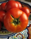 Tomato resembling a breast and areola
