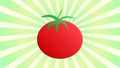 Tomato on a retro background, vector illustration. red round tomato. vegetables for salad. natural product from the garden.