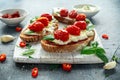 Tomato Ricotta Bruschetta with sun dried tomatoes paste, olive oil brown bread and basil in a white wooden board. Royalty Free Stock Photo