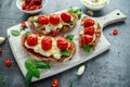 Tomato Ricotta Bruschetta with sun dried tomatoes paste, olive oil brown bread and basil in a white wooden board. Royalty Free Stock Photo