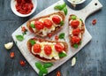 Tomato Ricotta Bruschetta with sun dried tomatoes paste, olive oil brown bread and basil in a white wooden board. Royalty Free Stock Photo