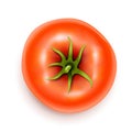 Tomato with rootlet top side Royalty Free Stock Photo