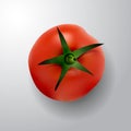 Tomato with rootlet top side Royalty Free Stock Photo