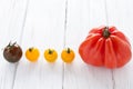 Tomato row Royalty Free Stock Photo