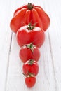Tomato row Royalty Free Stock Photo