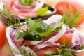 Tomato Salad Royalty Free Stock Photo