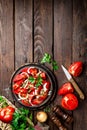 Tomato salad Royalty Free Stock Photo