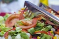 Tomato salad Royalty Free Stock Photo