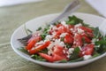 Tomato salad with basil, cheese, olive oil and garlic dressing o Royalty Free Stock Photo