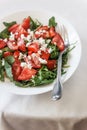 Tomato salad with basil, cheese, olive oil and garlic dressing o Royalty Free Stock Photo