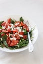 Tomato salad with basil, cheese, olive oil and garlic dressing o Royalty Free Stock Photo